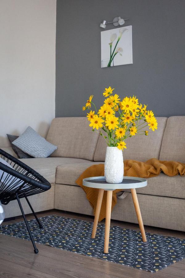 Sea View Ela Apartments بودغورا المظهر الخارجي الصورة